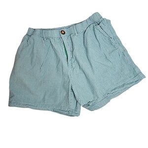 Chubbies Striped Men's Shorts, LARGE